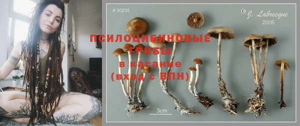 apvp Новодвинск