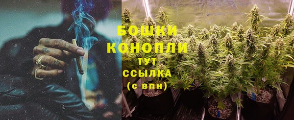 эйфоретик Новозыбков
