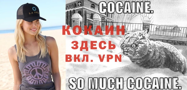 apvp Новодвинск