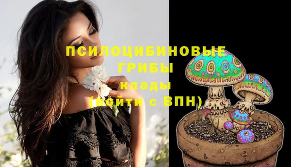 apvp Новодвинск