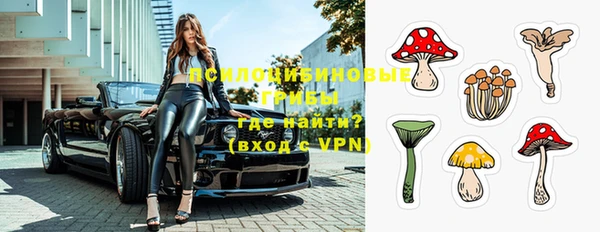 apvp Новодвинск