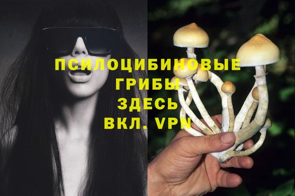 apvp Новодвинск