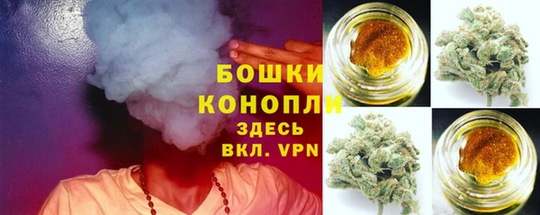 эйфоретик Новозыбков