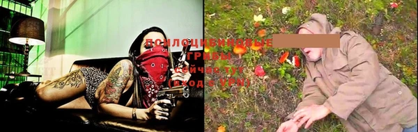 apvp Новодвинск