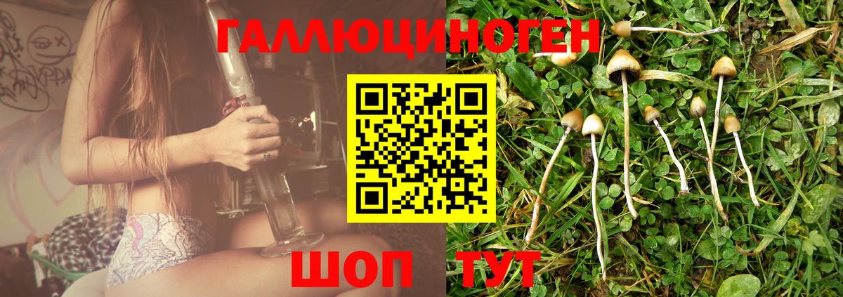 Псилоцибиновые грибы GOLDEN TEACHER  Вход с VPN  Ростов-на-Дону 
